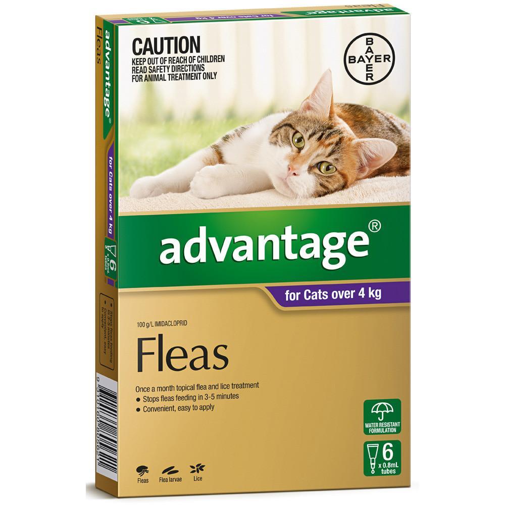 Advantage Fleas for Cats Over 4kg - 6 Pack