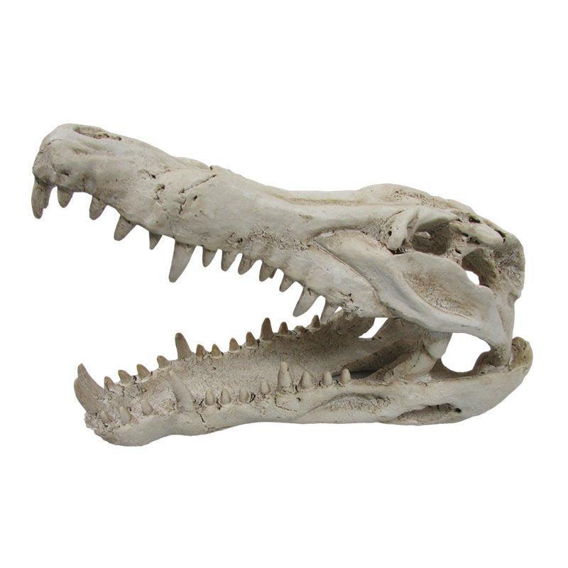 URS Croc Skull Medium