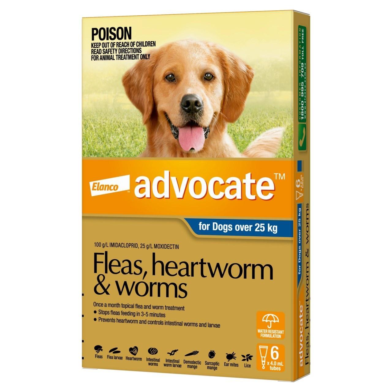 Advocate for Dogs - 6 Pack - Treats Fleas & Worms for Dogs over 25kg - 6pk