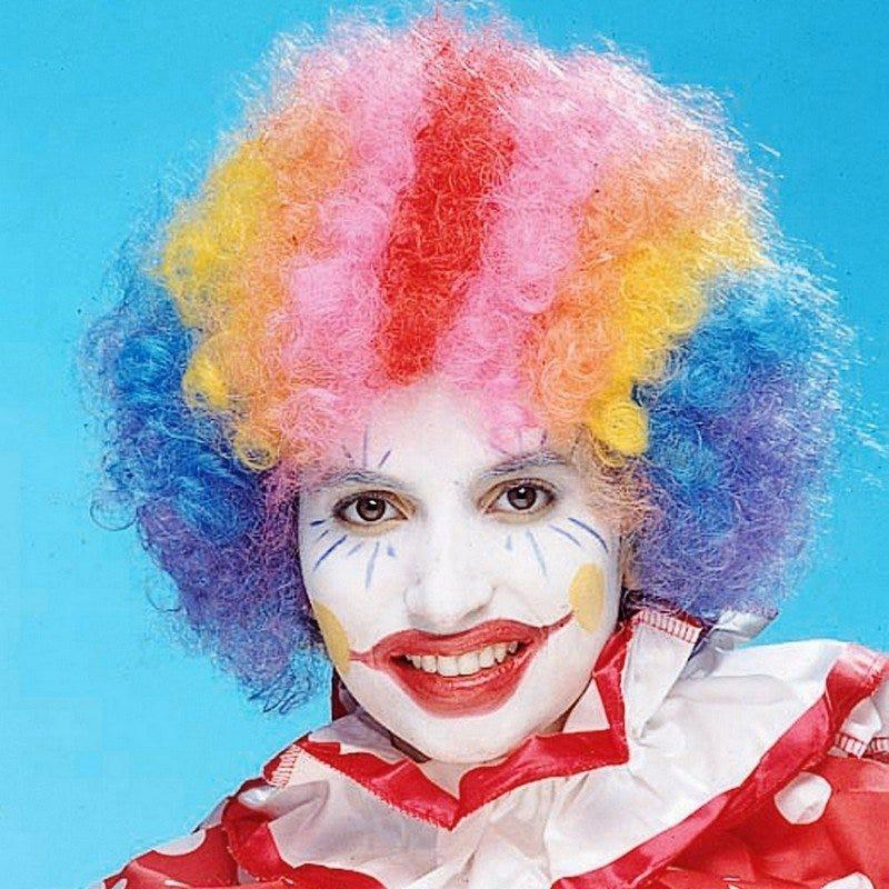 Rainbow Economy Clown Colourful Wig