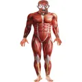 Anatomy Man Mens Costume