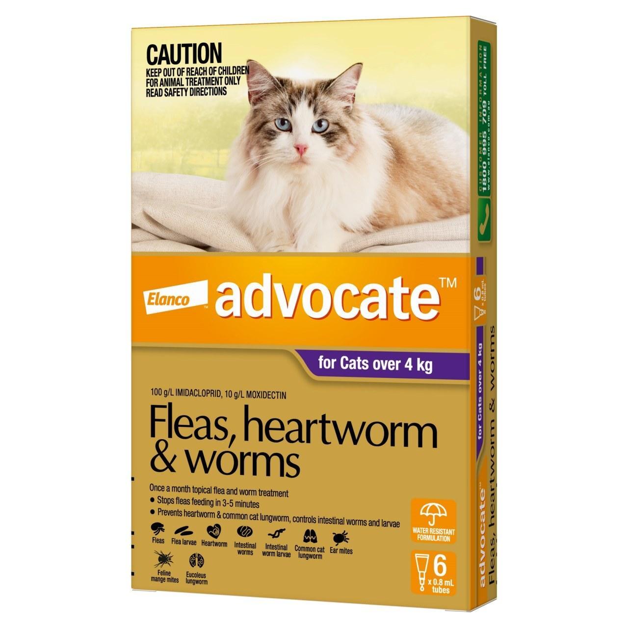 Advocate Spot-On Flea & Worm Control for Cats over 4kg - 6 Pack