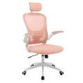 Advwin Mesh Office Chair Adjustable Height Ergonomic Chair High Back Swivel Executive Computer Desk Work Seat Pink