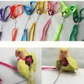 Adjustable Pet Parrot Bird Harness Lead Leash Flying Training Rope Cockatiel HOT - Green