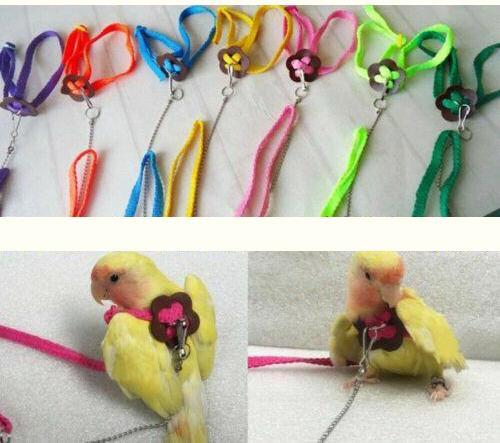 Adjustable Pet Parrot Bird Harness Lead Leash Flying Training Rope Cockatiel HOT - Pink