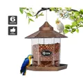 Qttie Hanging Bird Feeder Garden Wild Seed Container Waterproof Gazebo Outdoor(Bronze)