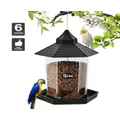 Qttie Hanging Bird Feeder Garden Wild Seed Container Waterproof Gazebo Outdoor(Black)