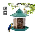 Qttie Hanging Bird Feeder Garden Wild Seed Container Waterproof Gazebo Outdoor(Green)