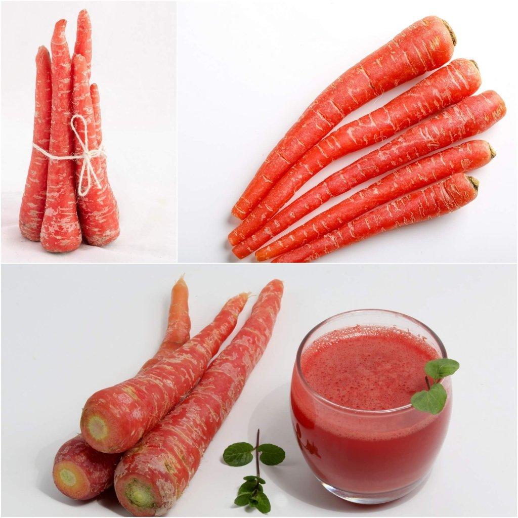 Carrot - Scarlet Red seeds