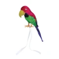 Bristol Novelty Feather Covered Toy Parrot (Multicoloured) (38cm)