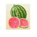Eden Seeds Select Organic Watermelon Warpaint