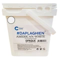 Chisel Dap La Ghien - Fine Sculpting Nail Acrylic Powder American White 5lbs