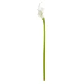 Rogue Calla Lily Artificial Floral Beauties: Preserved Bouquets For Wedding Party And Home Decor
