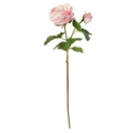 Rogue English Rose Stylish Artificial Preserved Flower Bouquets For Wedding Party Home Decor Stem Pink