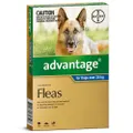 Advantage Extra Large Dog 25kg & Over Blue Spot On Flea Treatment 6 Pack