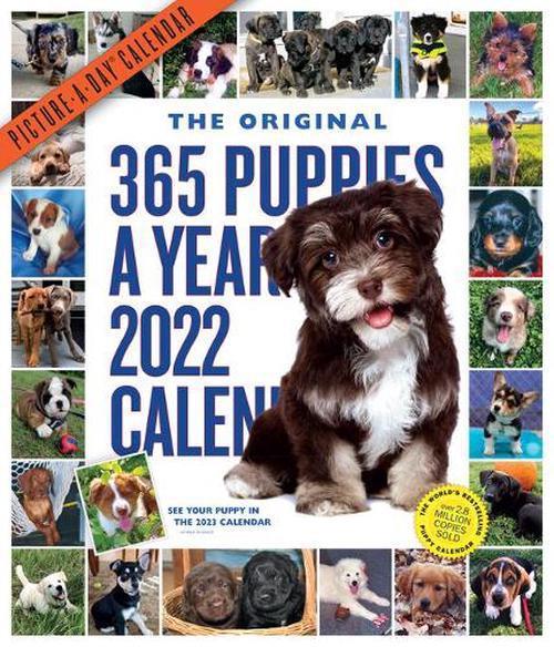 2022 365 Puppies-a-year Calendar