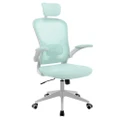 Advwin Mesh Office Chair Adjustable Height Ergonomic Chair High Back Swivel Executive Computer Desk Work Seat Light Blue