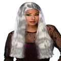 24" Long Witch Grey Ghost Gothic Day Of The Dead Sorceress Women Costume Wig