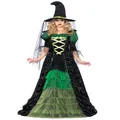 Storybook Witch Hocus Pocus Wicked Sorceress Book Week Women Costume