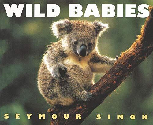 Wild Babies -Seymour Simon Children's Book