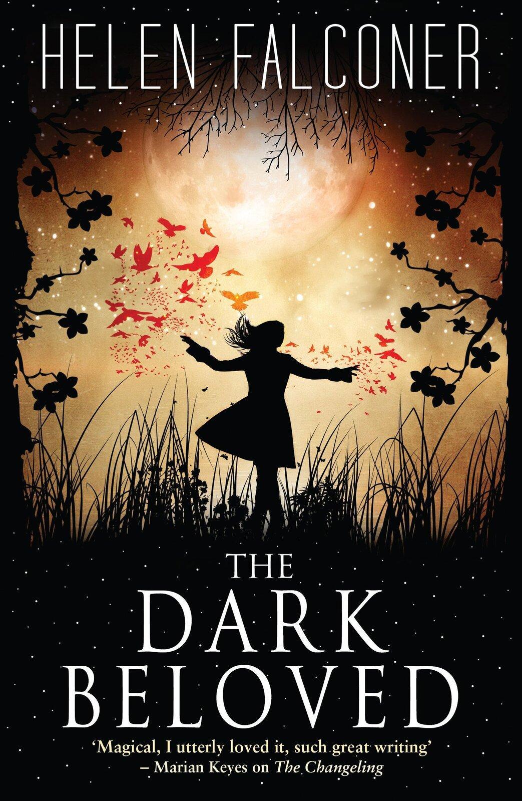 The Dark Beloved: The Changeling -Helen Falconer Paperback Book