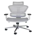 Replica Ergohuman Ergonomic Japanese Mesh Desk / Office Chair | White