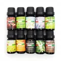 Diffuser Fragrance Aroma Oils - 10ml - Set of 10