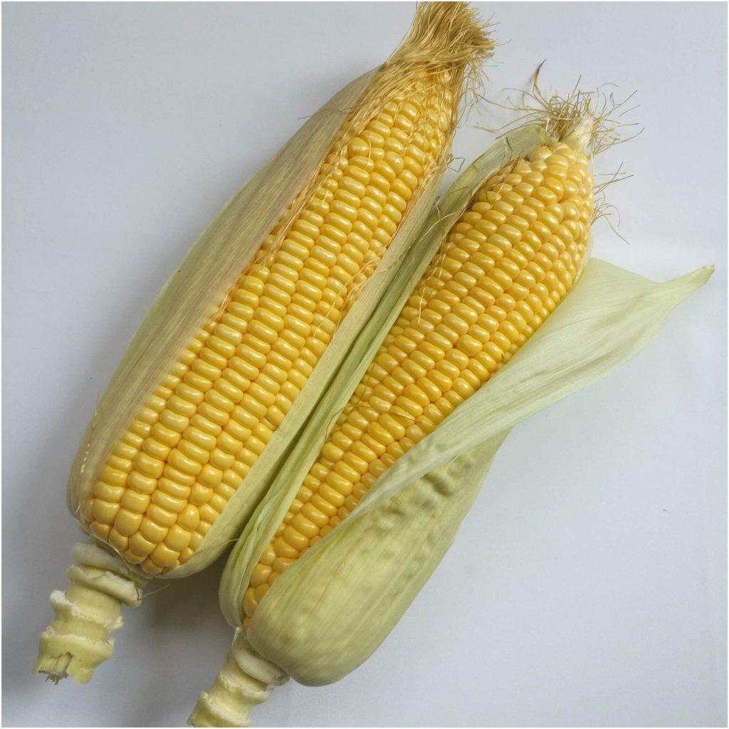 Corn Sweet - Max F1 seeds