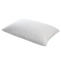 Cotton Terry Toweling Waterproof Pillow Protector - Twin Pack