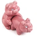Bigmouth Makin' Bacon Naughty Pigs Salt And Pepper Tableware Home Decor Set
