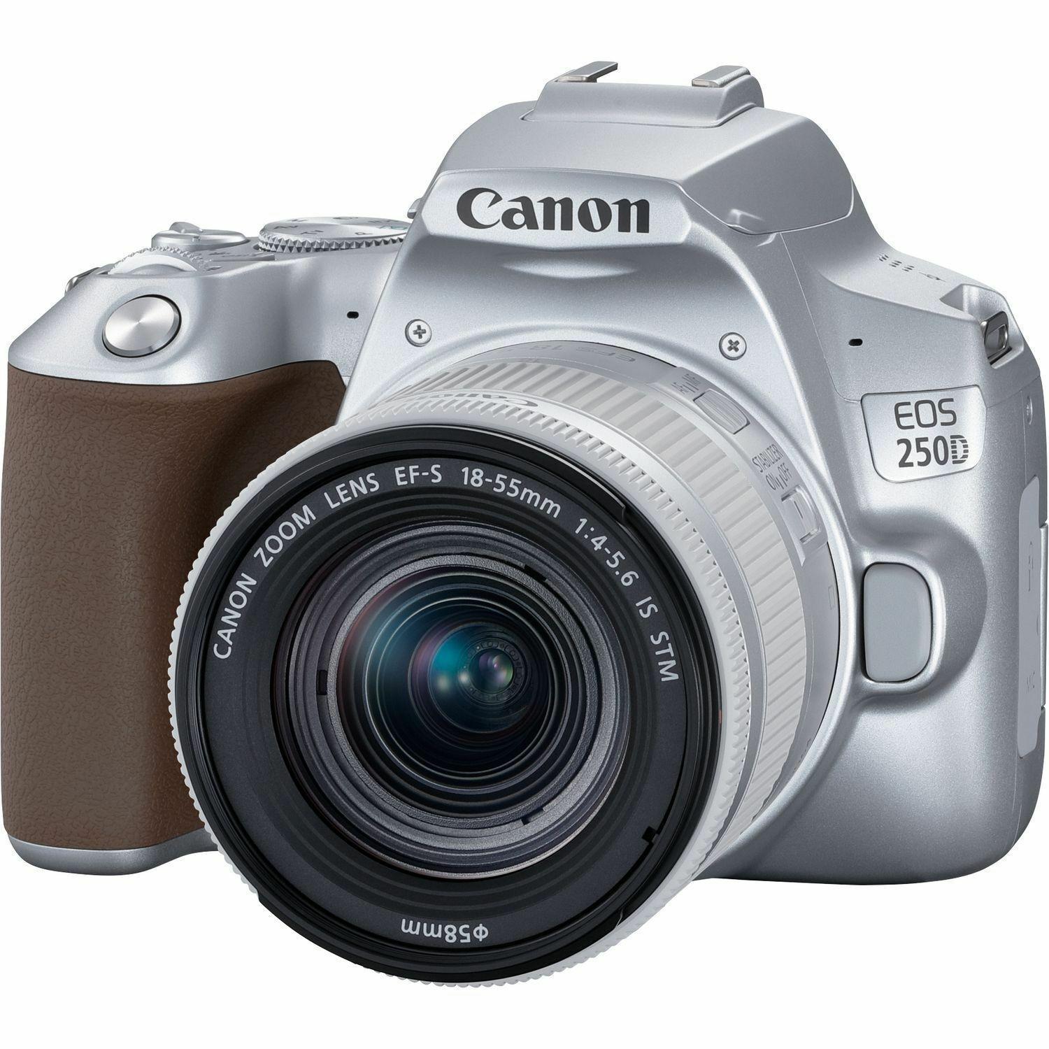 Canon EOS 250D Kit (EF-S 18-55mm STM) DSLR Camera Silver