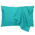 LINENOVA 2 Pcs Microfiber Pillowcase Stanard/Queen/King/European/Body Size Choice (Standard)