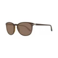 Men's Sunglasses Gant GA70565448E (54 mm) Brown (? 54 mm)