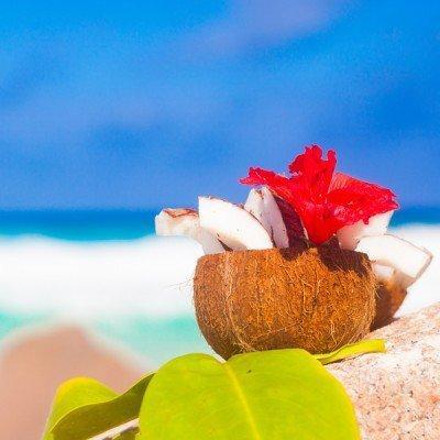 Coconut Palm & Hibiscus - Fragrance Oil (10ml)