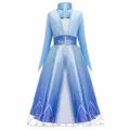 Disney Frozen 2 Princess Elsa Dress Kids Role Play Costume (Size:120)