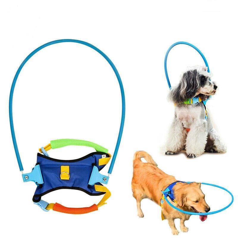 Pets Safety Halo Harness Vest Ring Prevent Collide Wall For Blind Dogs (Size:XS)