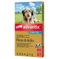 Advantix Dog 4-10Kg Medium 6'S Teal