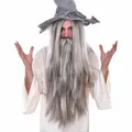 Wizard Long Grey Wig & Beard Set