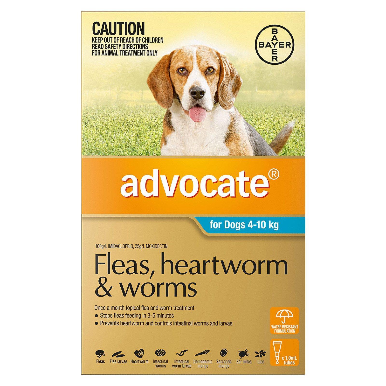 Advocate for Dogs For Medium Dogs 4 To 10Kg (Aqua) 3 Pipettes