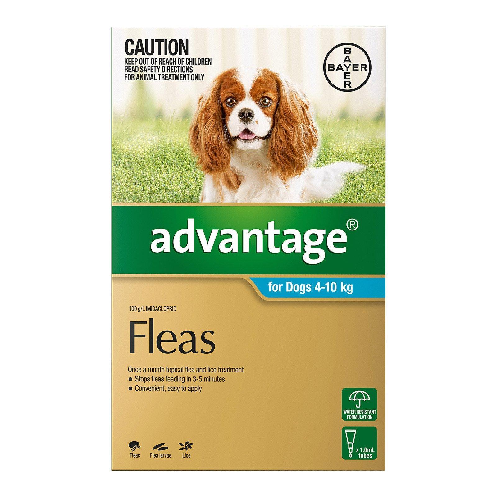 Advantage For Medium Dogs 4 To 10Kg (Aqua) 6 Pack