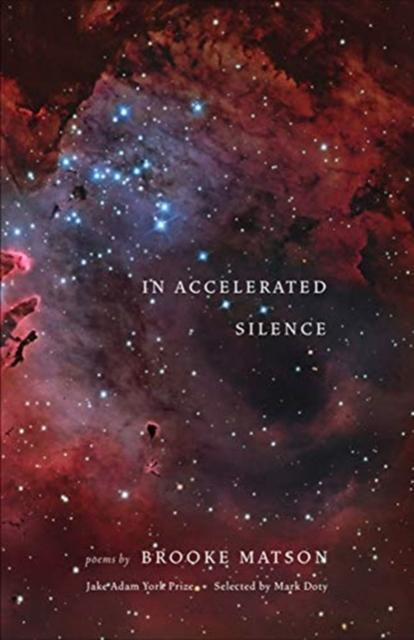 In Accelerated Silence by Brooke Matson