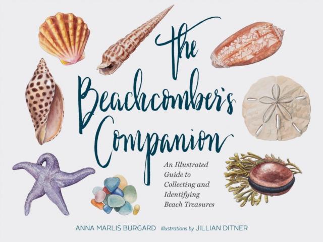Beachcombers Companion by Jillian Dittner