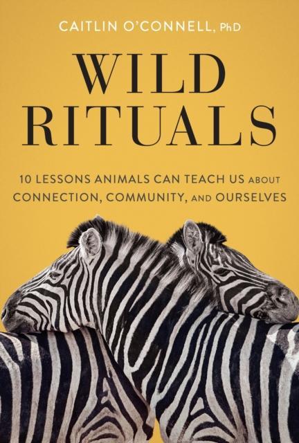 Wild Rituals by Caitlin OConnell