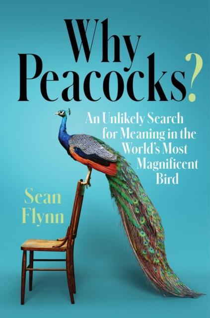 Why Peacocks by Sean Flynn