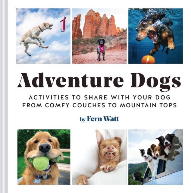 Adventure Dogs by Lauren Watt
