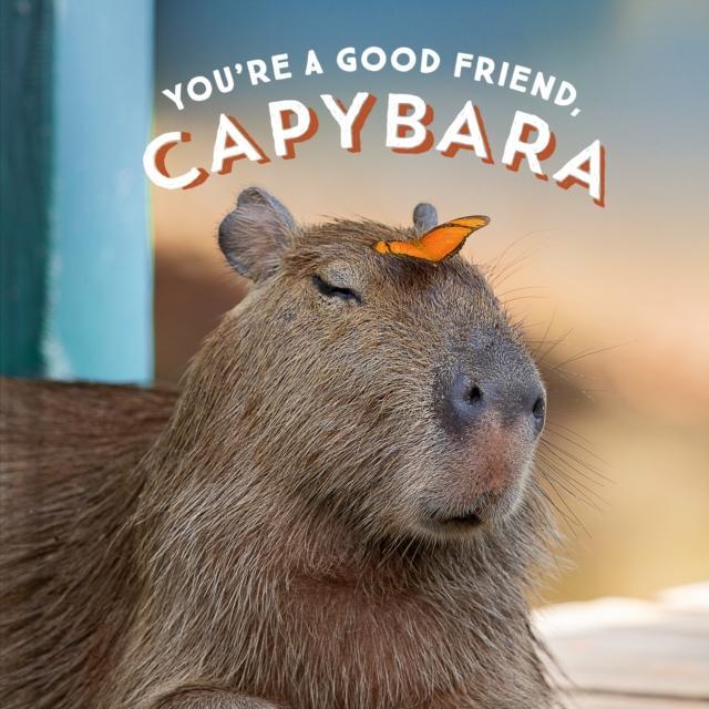 Youre a Good Friend Capybara by Chronicle Books