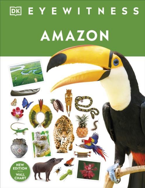Amazon by DK