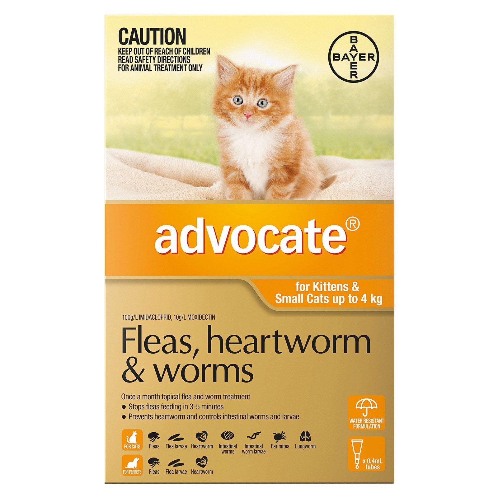 Advocate for Cats For Kittens & Small Cats Up To 4Kg (Orange) 12 Pipettes