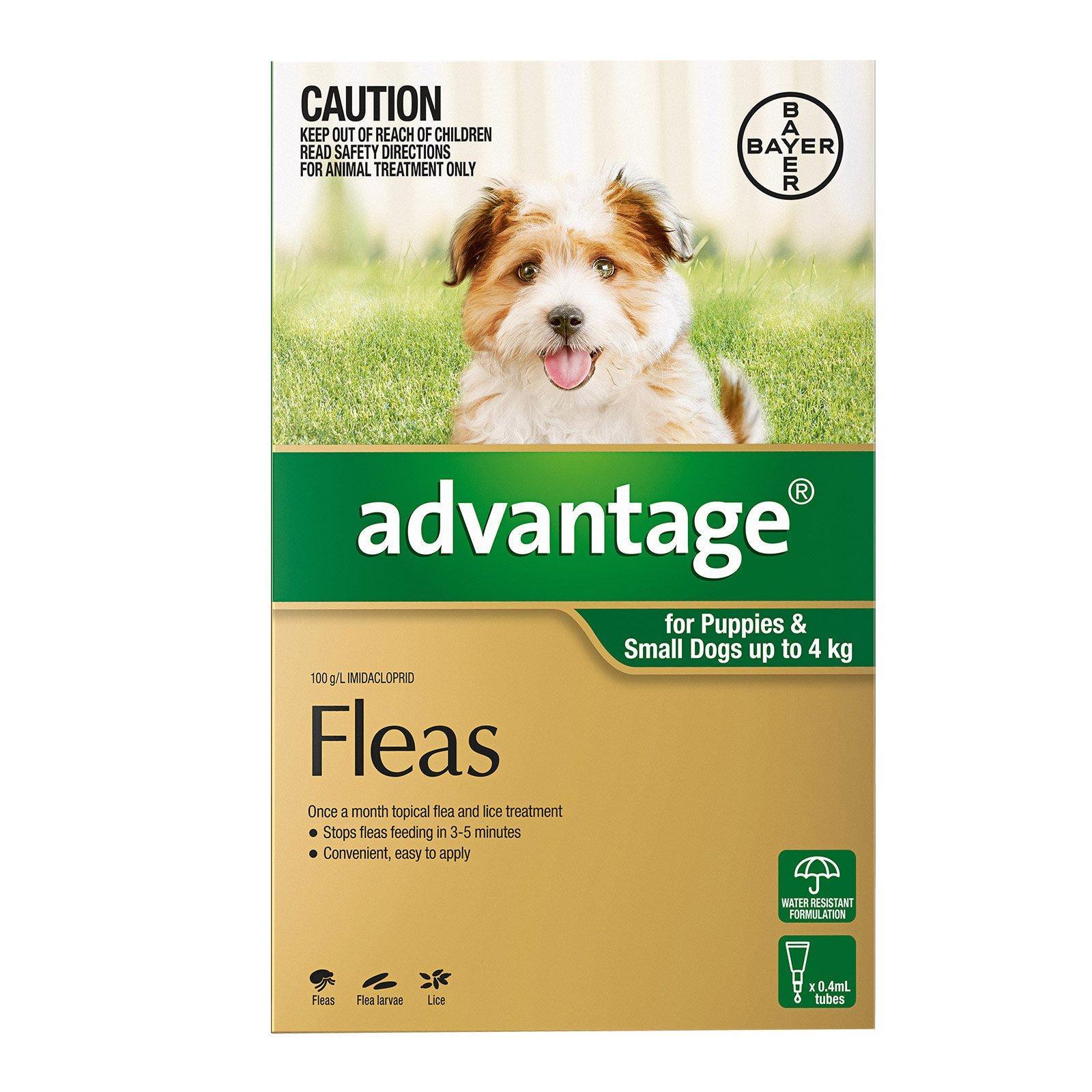 Advantage For Small Dogs Up To 4Kg (Green) 12 Pack
