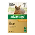 Advantage For Kittens & Small Cats Up To 4Kg (Orange) 12 Pack